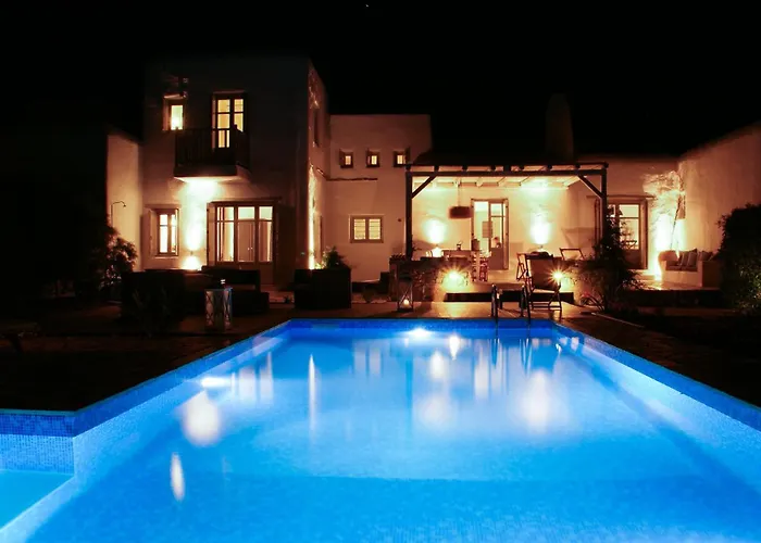 House With Private Pool Naousa